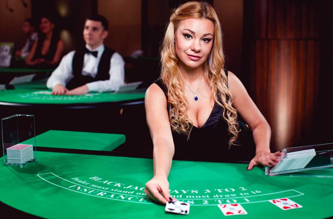 Live casino blackjack dealer in a black dress deals cards across a green felt table, with card shoe and discard tray visible, and a softly lit gaming room with another table in the background.